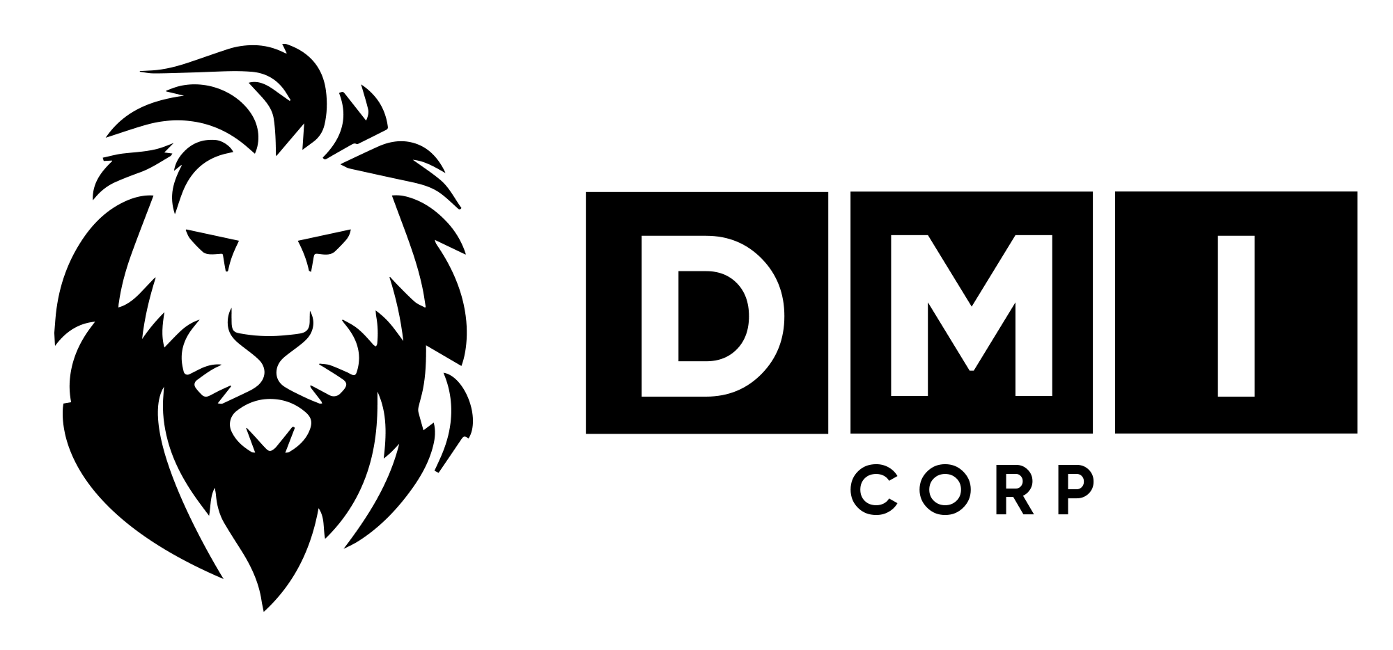 DMI CORP